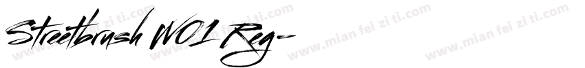 Streetbrush W01 Reg字体转换